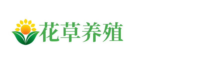 自动化机械（wxxianze.cn）